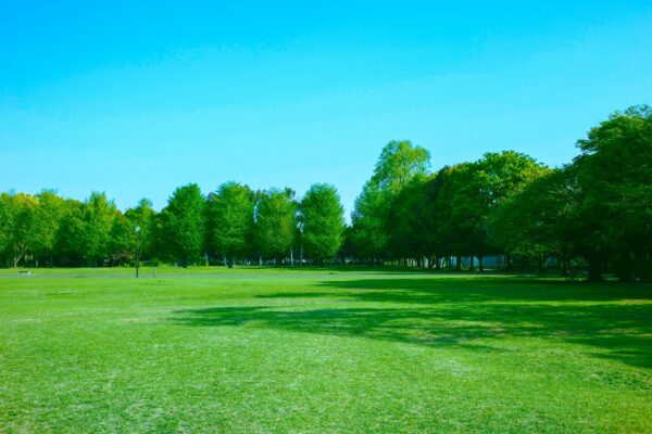 Green Park