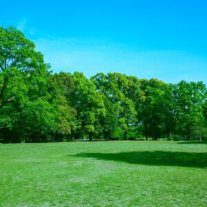 Green Park
