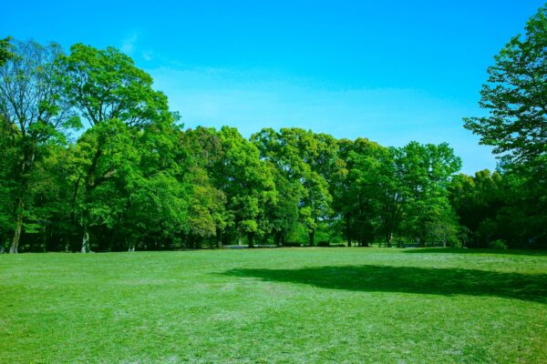 Green Park