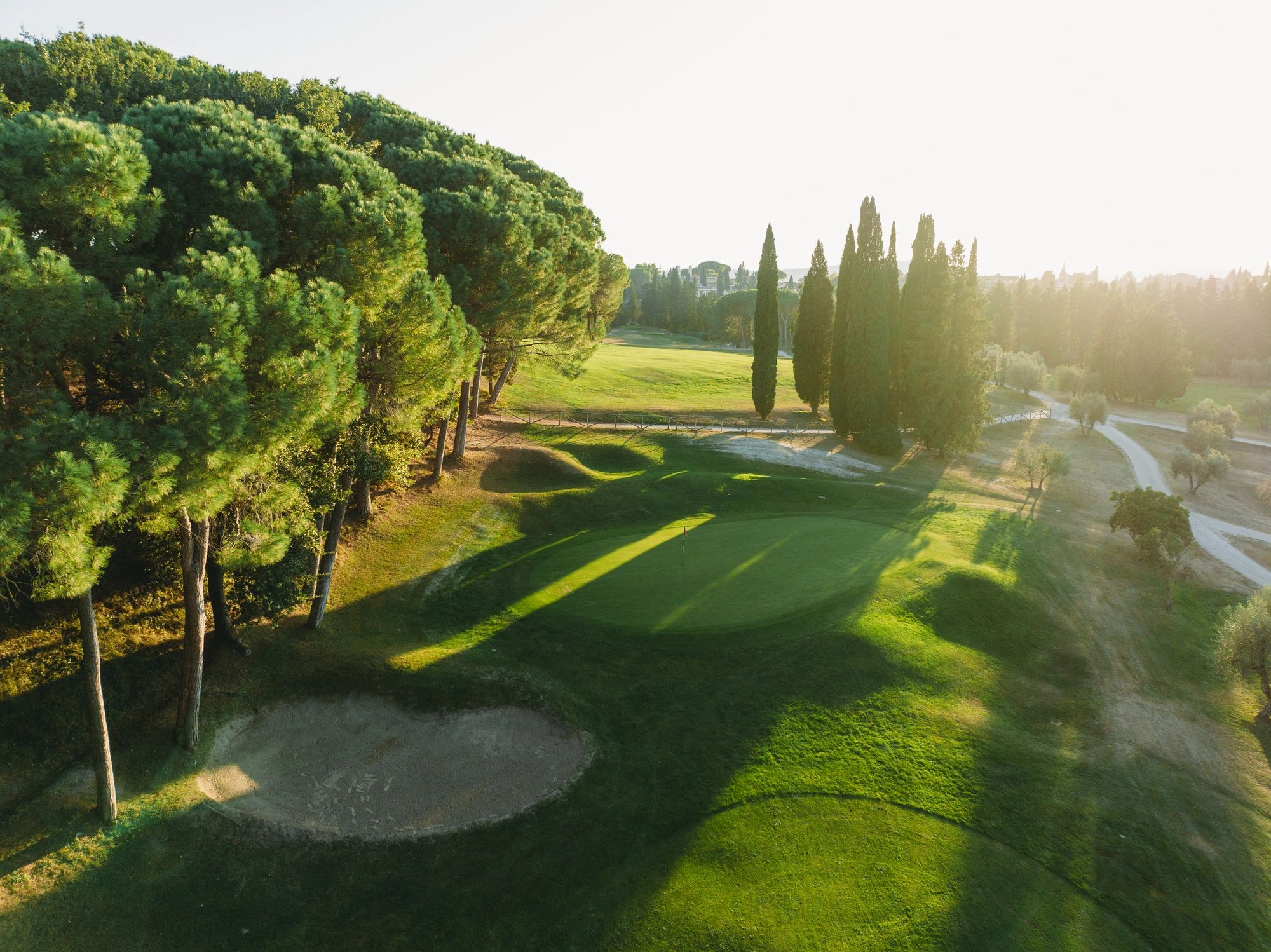 Golf fairways lined with trees at sunset