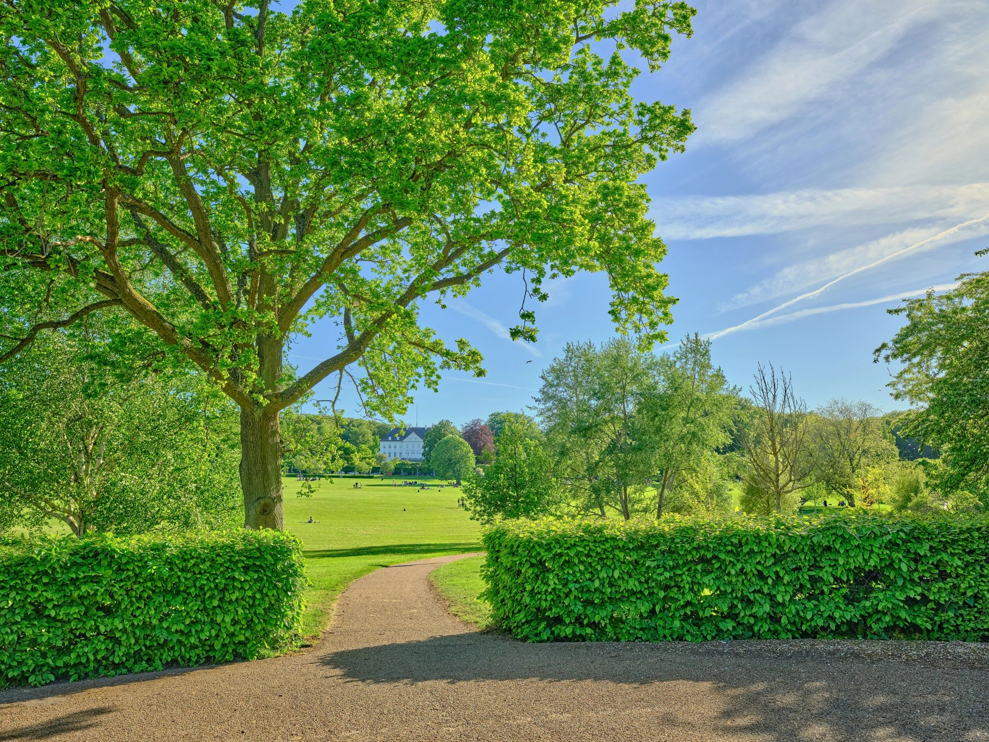 Elegant landscaped grounds with distant manor-style building